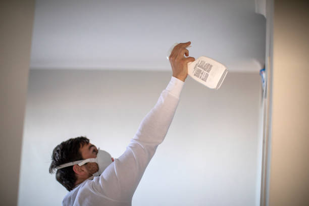 Home Mold Removal in Blackhawk, SD