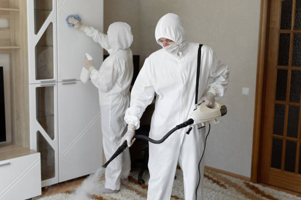 Crawl Space Mold Removal in Blackhawk, SD