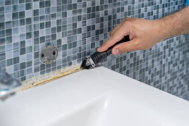 Best Certified Mold Removal  in Blackhawk, SD