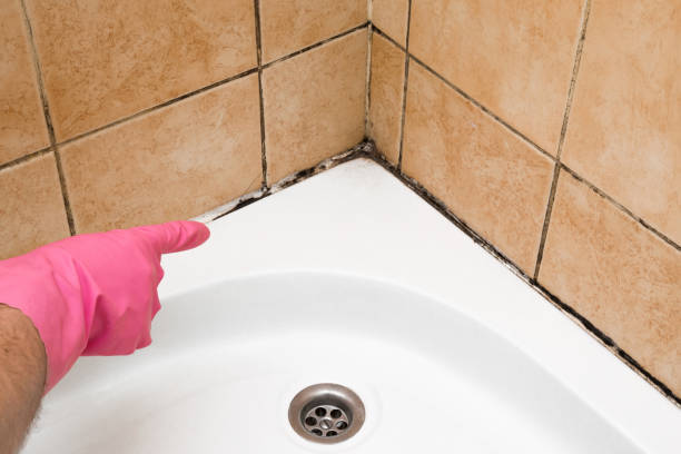 Best Emergency Mold Removal  in Blackhawk, SD